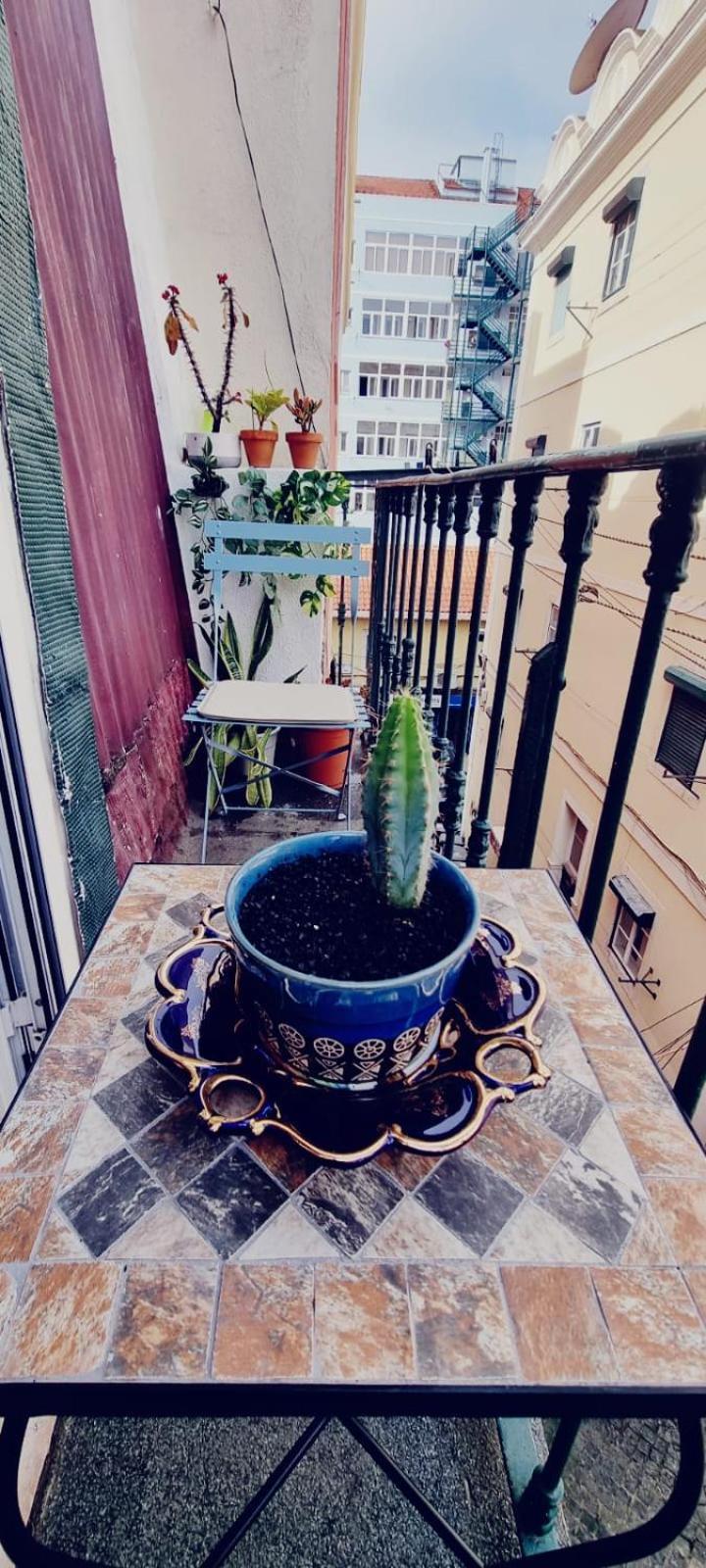 Charming Central Apartment To Rent リスボン エクステリア 写真